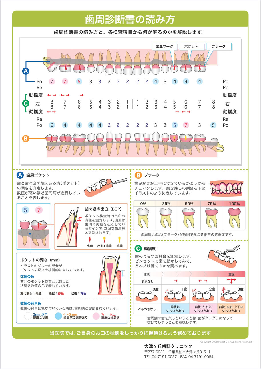 歯周診断書の読み方